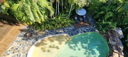 an overhead view of a swimming pool with a bunch of bananas at Berry Springs Tropical Retreat in Berry Springs