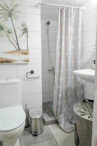 a bathroom with a toilet and a shower curtain at Freya Apartments - Spacious 85 m2 2 Bedroom Private Home in Xanthi