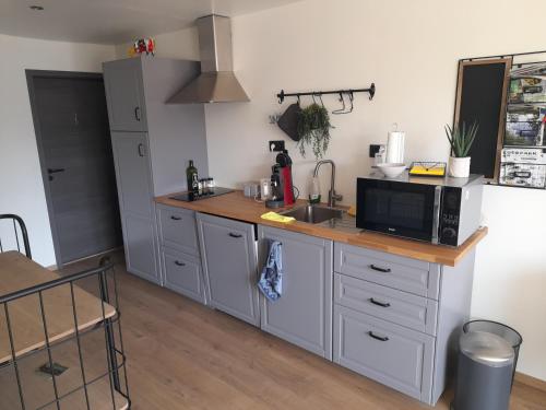 a kitchen with a counter with a microwave and a sink at Les Chambres de la Fromagerie d'Ambly in Nassogne