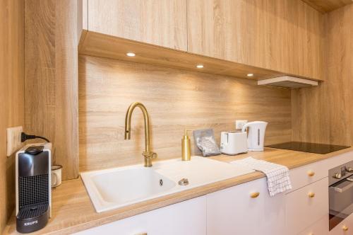 une cuisine avec un évier et un plan de travail dans l'établissement Suite Comedie - Premiere conciergerie, à Montpellier