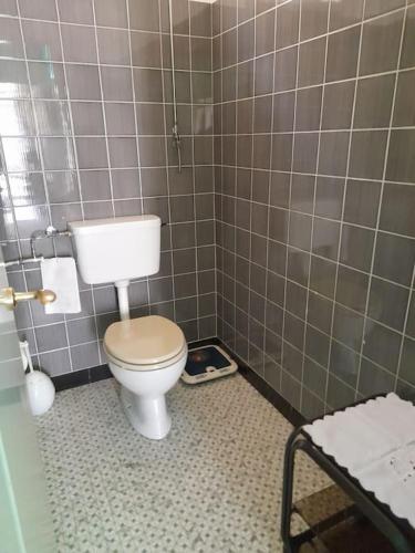 a bathroom with a toilet in a tiled wall at Padiglione Castagneto in Castasegna