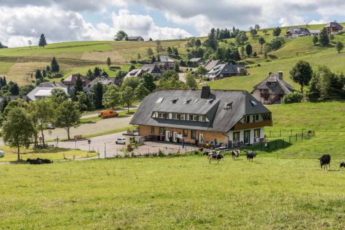 a large house on a hill with cows in a field at Sport Rees - Ferienwohnung Melanie in Oberried