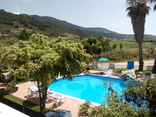 a view of a swimming pool with palm trees at Residenza La Dolce Vita in Fronte Aguglieri