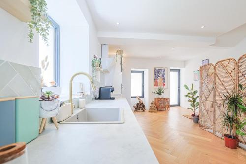 une cuisine avec un évier et un comptoir avec des plantes dans l'établissement Casa Blanca, à Puget-Ville