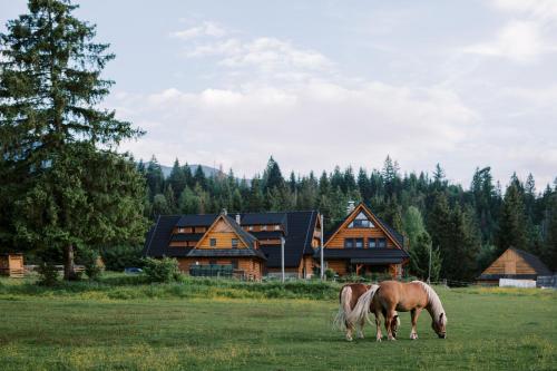 two horses grazing in a field in front of a lodge at Wellness Penzion u Michala in Zuberec