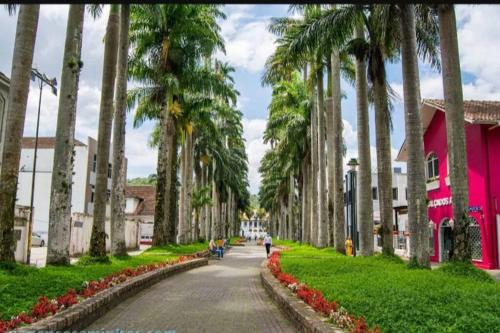 Zahrada ubytování Apartamento Cidade das Flores