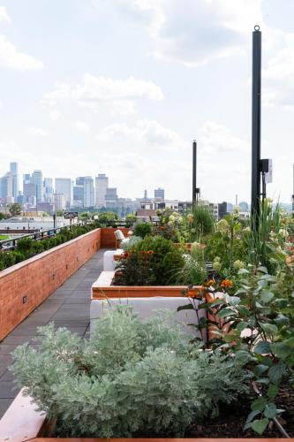 a garden on the roof of a building at Waymore's Guest House & Casual Club in Nashville