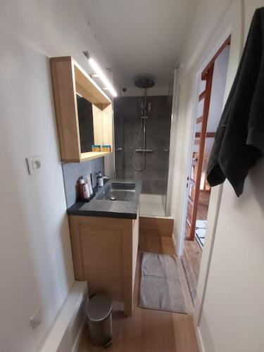 Il comprend une petite cuisine avec un évier et une douche. dans l'établissement Wissant, petite maison avec jardin proche mer, à Wissant