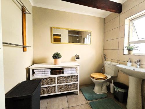 a bathroom with a toilet and a sink and a mirror at Walters Lane Deluxe Garden Apartment 3 - No loadshedding in Cape Town