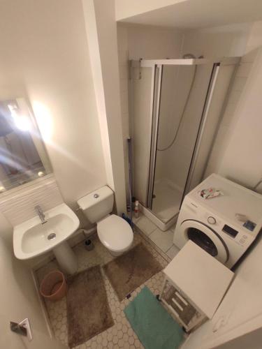 La salle de bains est pourvue d'un lavabo et d'une douche. dans l'établissement Rahim, à Paris