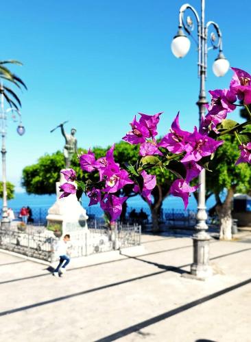 a bunch of purple flowers on a street light at Umberto 25 in Santo Stefano di Camastra