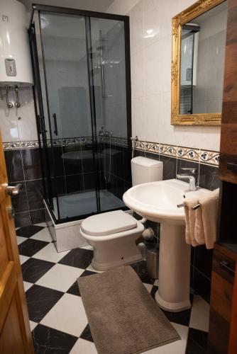 a bathroom with a shower and a toilet and a sink at Villa Maria in Pašman