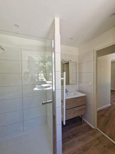 une salle de bain avec une douche, un lavabo et un miroir dans l'établissement La fontaine, à Saint-Didier