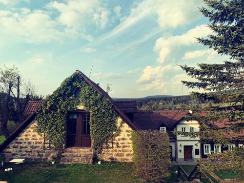 a house with ivy growing on the side of it at Penzion Statek u Rajtrů in Bedřichov