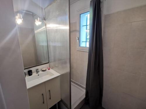 une salle de bain avec un lavabo et une douche avec un miroir dans l'établissement Maison avec jardin, à Carcassonne