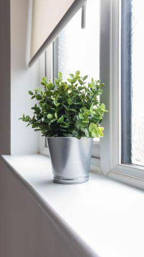 a potted plant sitting on a window sill at Moncrieff House in Livingston
