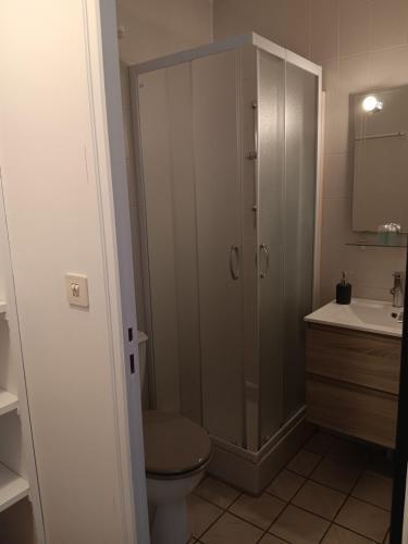 une salle de bain avec une douche, des toilettes et un lavabo dans l'établissement joli studio idéalement situé, à Vichy