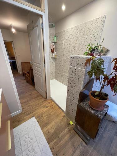 La salle de bains est pourvue d'une douche et d'une plante en pot. dans l'établissement Cordes sur ciel et piscine, à Cordes-sur-Ciel