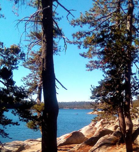 a view of a body of water between two trees at Cozy Corner Tamarack Condo 19 in Tamarack