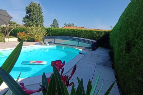 - une piscine dans une cour avec une haie dans l'établissement Les gîtes du Pavachon au porte du Puy duFou, aux Épesses