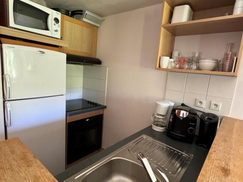 Duplex cosy à Belle Plagne - Ski aux pieds, balcon, piscine, bien-être, animaux admis