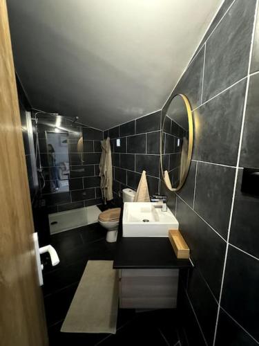 une salle de bain avec un lavabo, des toilettes et un miroir dans l'établissement Maison proche stade de France, à Aubervilliers