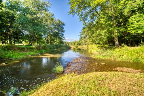 a river in the middle of a field with trees at Scenic Log Cabin with Fire Pit and Stocked Creek! in Titusville