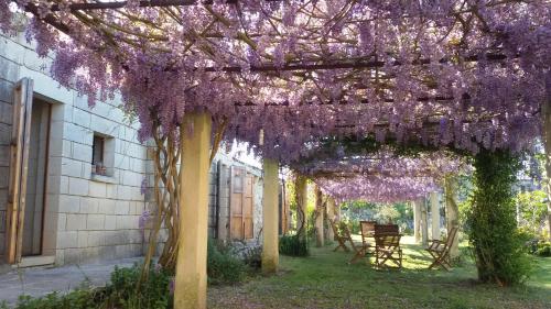a wreath of purple flowers hanging from a pergola at Masseria Copertini in Vernole