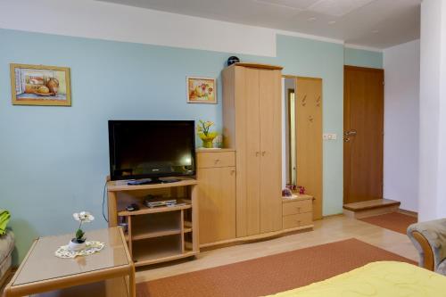 a living room with a flat screen tv and a room at Rooms & Apartments Jana in Cerklje na Gorenjskem