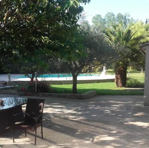 un parc avec un banc, des arbres et une piscine dans l'établissement T2 PATIO avec jacuzzi et PISCINE 100m2 au pied du Luberon, à Cheval-Blanc