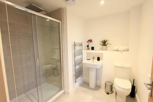 a bathroom with a shower and a toilet and a sink at Cabot Mews Apartment 8 in Bristol