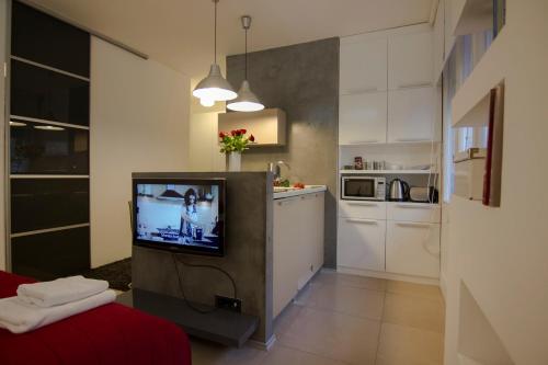 Studio Apartment Picasso में रसोई है