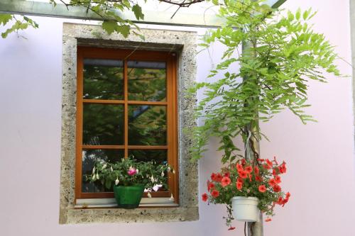 a window with two potted flowers in it at Residenza d'Epoca Albergo Grimani in Ampezzo