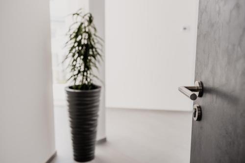 a plant in a black vase next to a window at Heufeldboardinghouse in Kelheim
