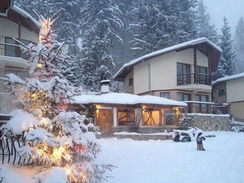 a christmas tree in the snow in front of a house at Amampuri Village in Pamporovo