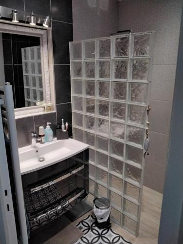 La salle de bains est pourvue d'un lavabo et d'une douche avec des portes en verre. dans l'établissement PESSIC'art, à Nice
