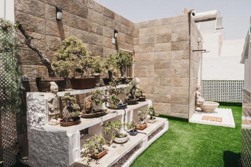 a group of potted plants on a wall with grass at Marimel Nerja Alojamientos in Nerja