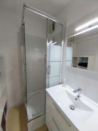 une salle de bain avec douche et lavabo dans l'établissement quartier port de peche et plaisance residence avec piscine, à Sète