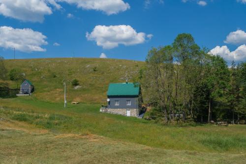 a house on a hill with a green roof at 4NORTH Apartment17 in Pluzine