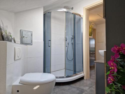 Fotografie z fotogalerie ubytování Seenah Appartment v destinaci Friedrichshafen