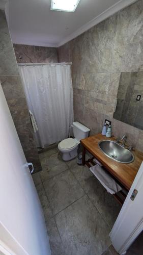 a bathroom with a sink and a toilet at Tres Arroyos Studio in Tres Arroyos