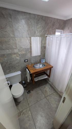 a bathroom with a sink and a toilet and a shower at Tres Arroyos Studio in Tres Arroyos
