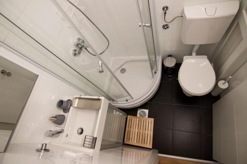 a bathroom with a shower and a toilet and a sink at Apartment Madera in Belgrade