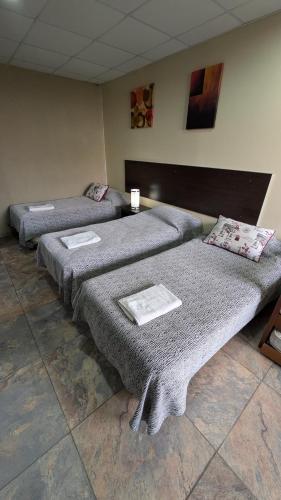 three beds are lined up in a room at Tres Arroyos Studio in Tres Arroyos