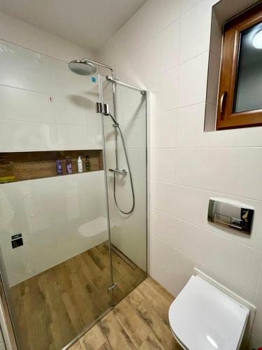 a bathroom with a shower and a toilet at Pienińskie Kąty in Krościenko