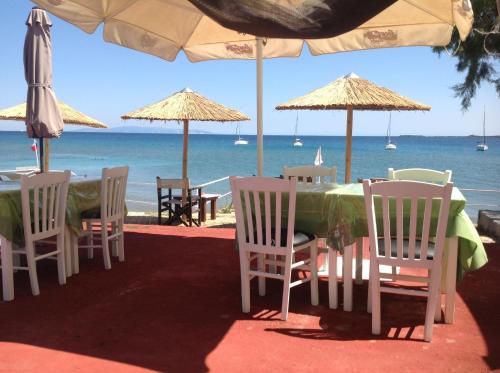 Gallery image of Kefalonia Beach Hotel & Bungalows in Lixouri