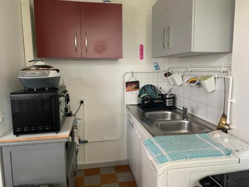 une petite cuisine avec un évier et un micro-ondes dans l'établissement Escale beaunoise, à Beaune