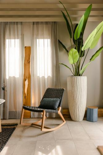 a chair and a potted plant in a room at Braunis Horio Villas in Asos