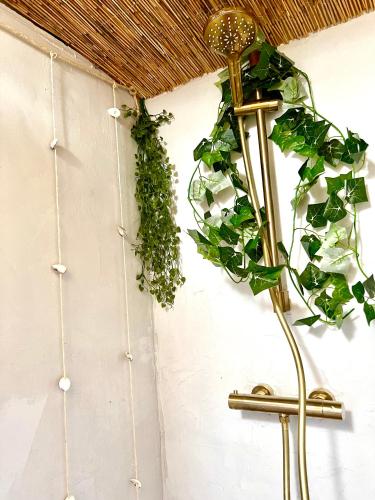 a plant on a wall next to a shelf at Mediterranean style chalet with jacuzzi and garden near Amsterdam in Vijfhuizen