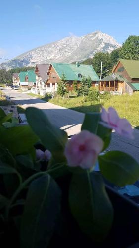 a group of pink flowers in front of a house at Montenegro High Mountain Apartment in Žabljak